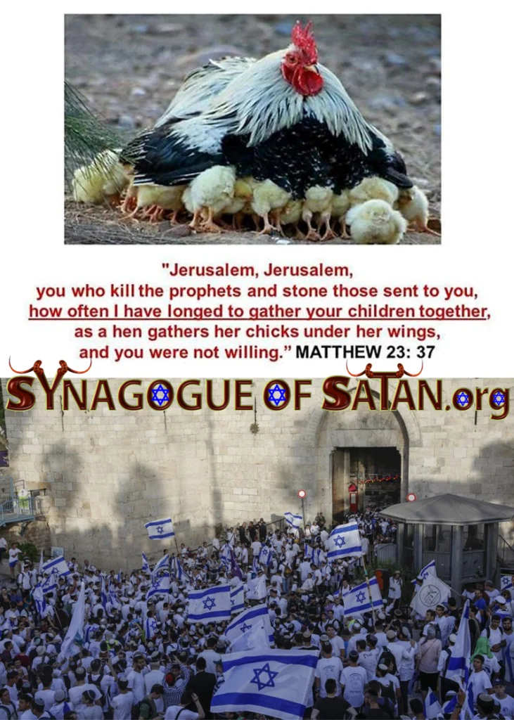 Jerusalem / Israel the Prophet Killer Past, Present & Future! - Matthew 23:37 4 Matthew 23:37 Jerusalem the Prophet Killer Past Present & Future synagogueofsatan.org