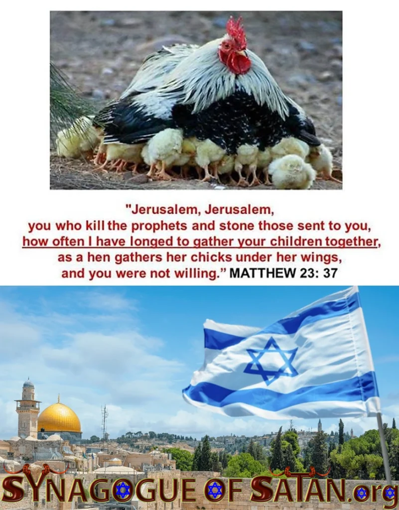 Jerusalem / Israel the Prophet Killer Past, Present & Future! - Matthew 23:37 3 Matthew 23:37 - Jerusalem the Prophet Killer synagogueofsatan.org